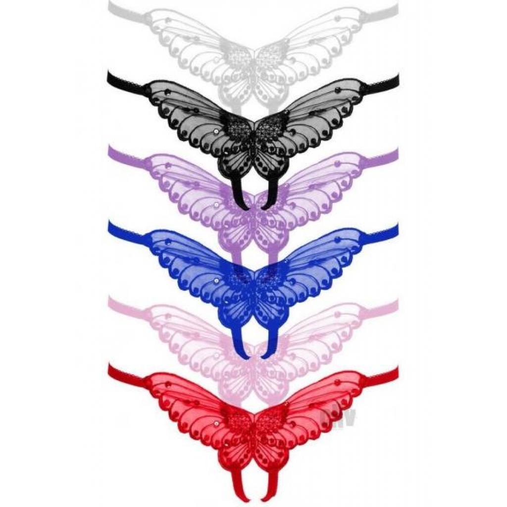 Butterfly Crotchless Pearl 12pk Ps Asst - Babydolls & Slips