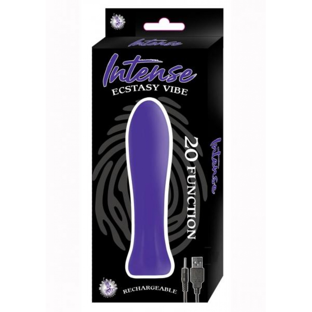 Intense Ecstasy Vibe Purple - Bullet Vibrators