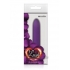 Lush Violet Purple Vibrator - Bullet Vibrators