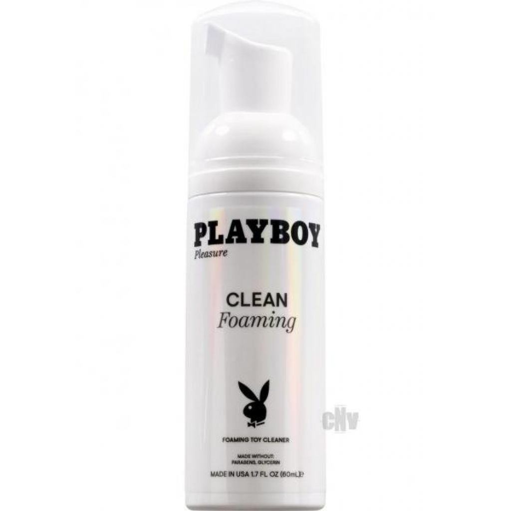 Pb Clean Foaming 1.7oz - Toy Cleaners