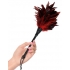 Fetish Fantasy Frisky Feather Duster Red - Feathers & Ticklers