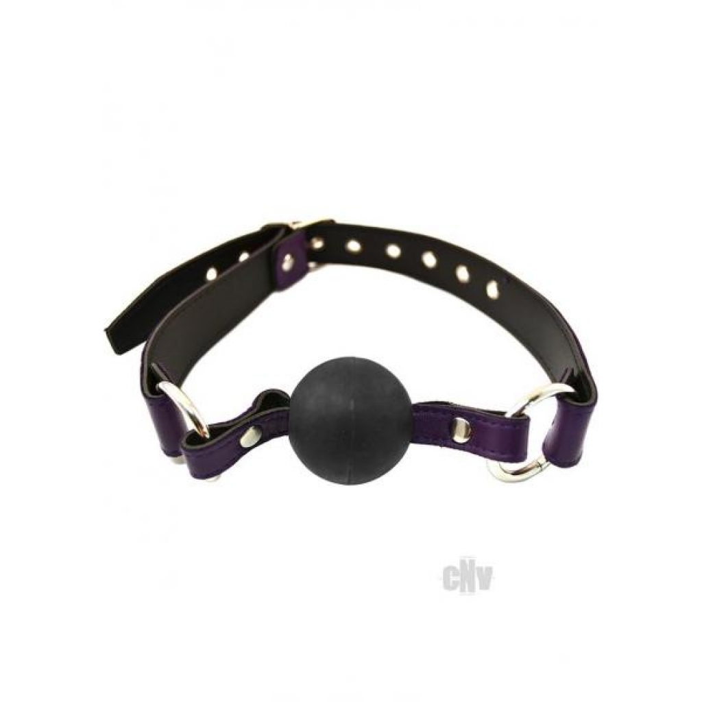 Purple Rouge Ball Gag