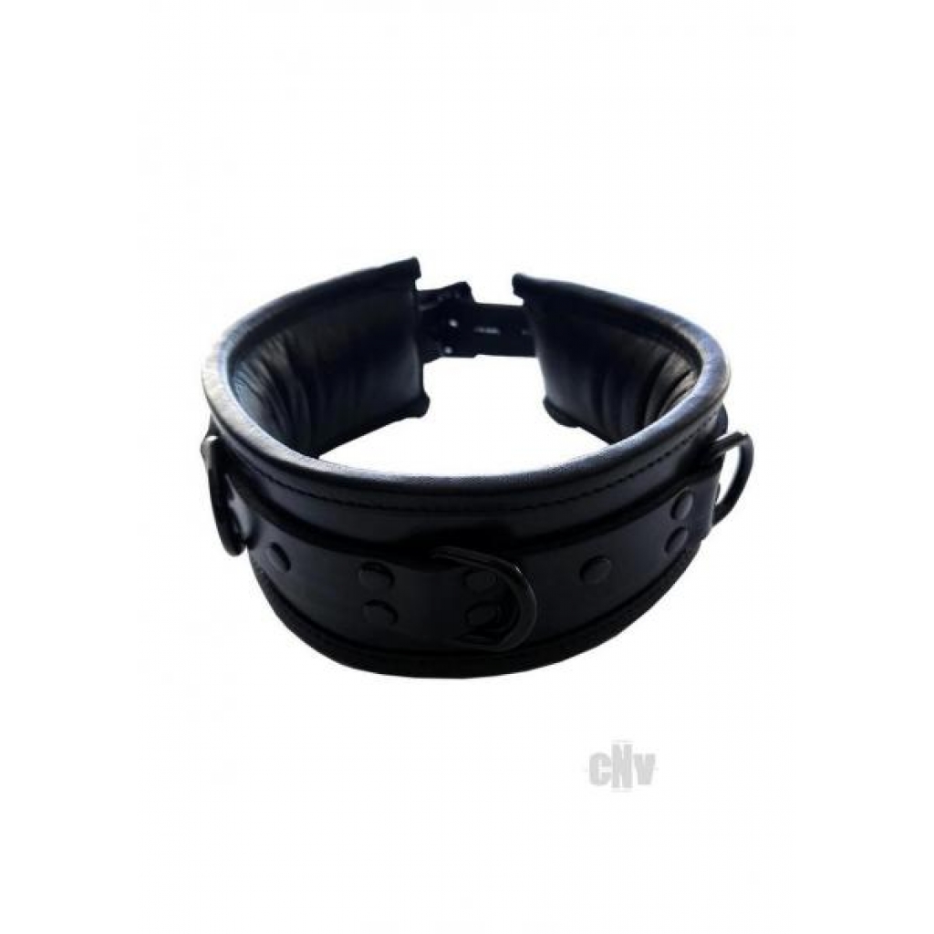 Padded Leather Collar Black - Collars & Leashes