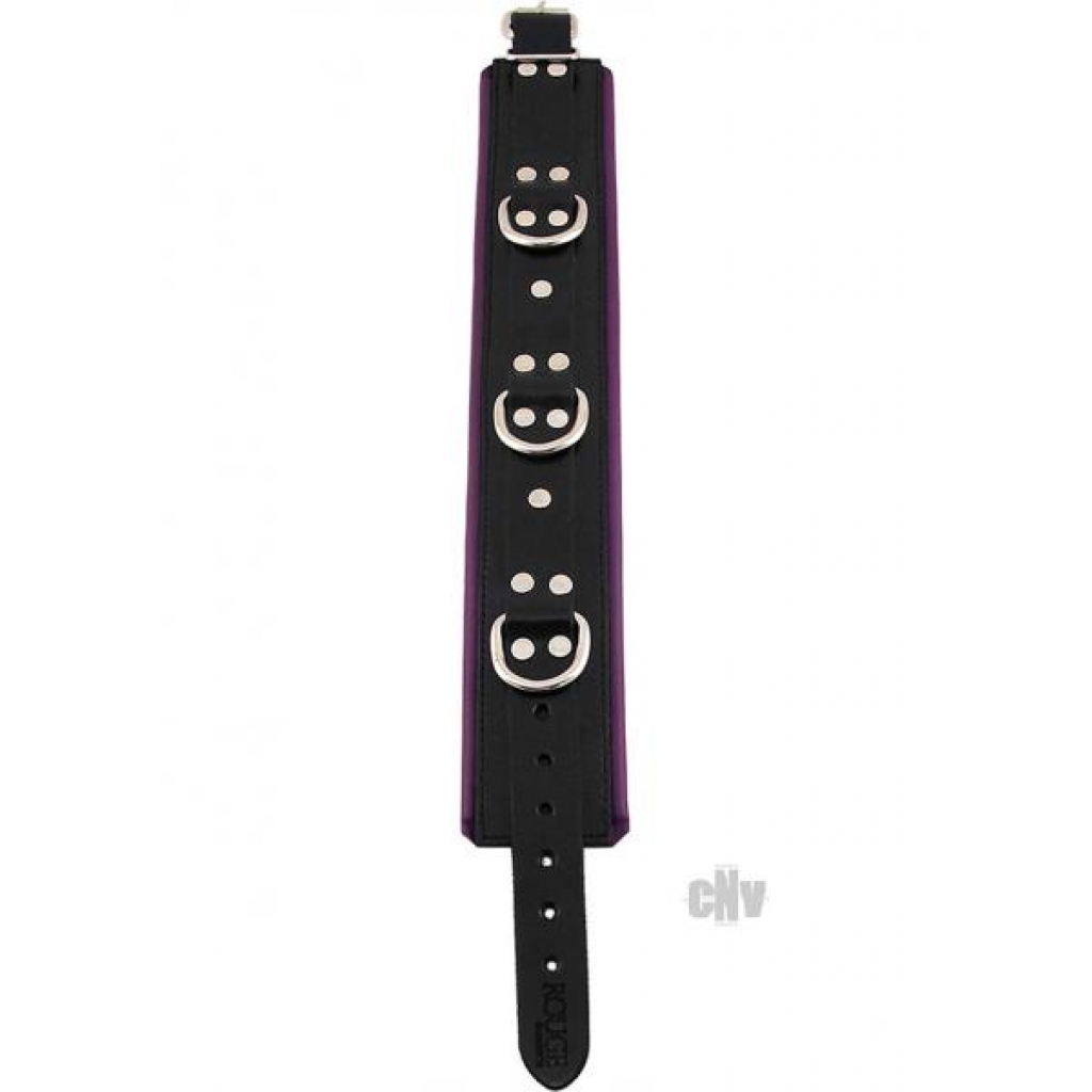 Rouge Padded Collar Black/purple - Collars & Leashes