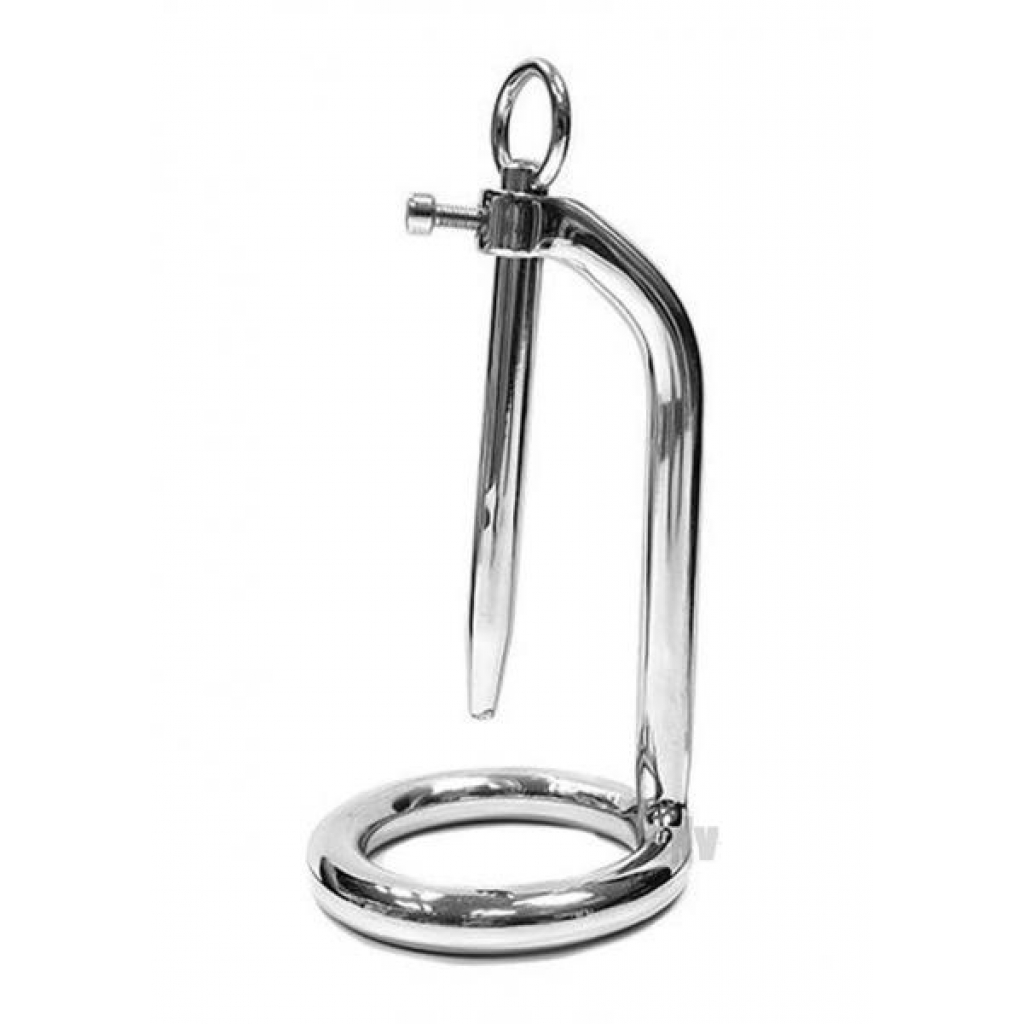 Chastity Cock Ring/urethral Probe Steel - Medical Play