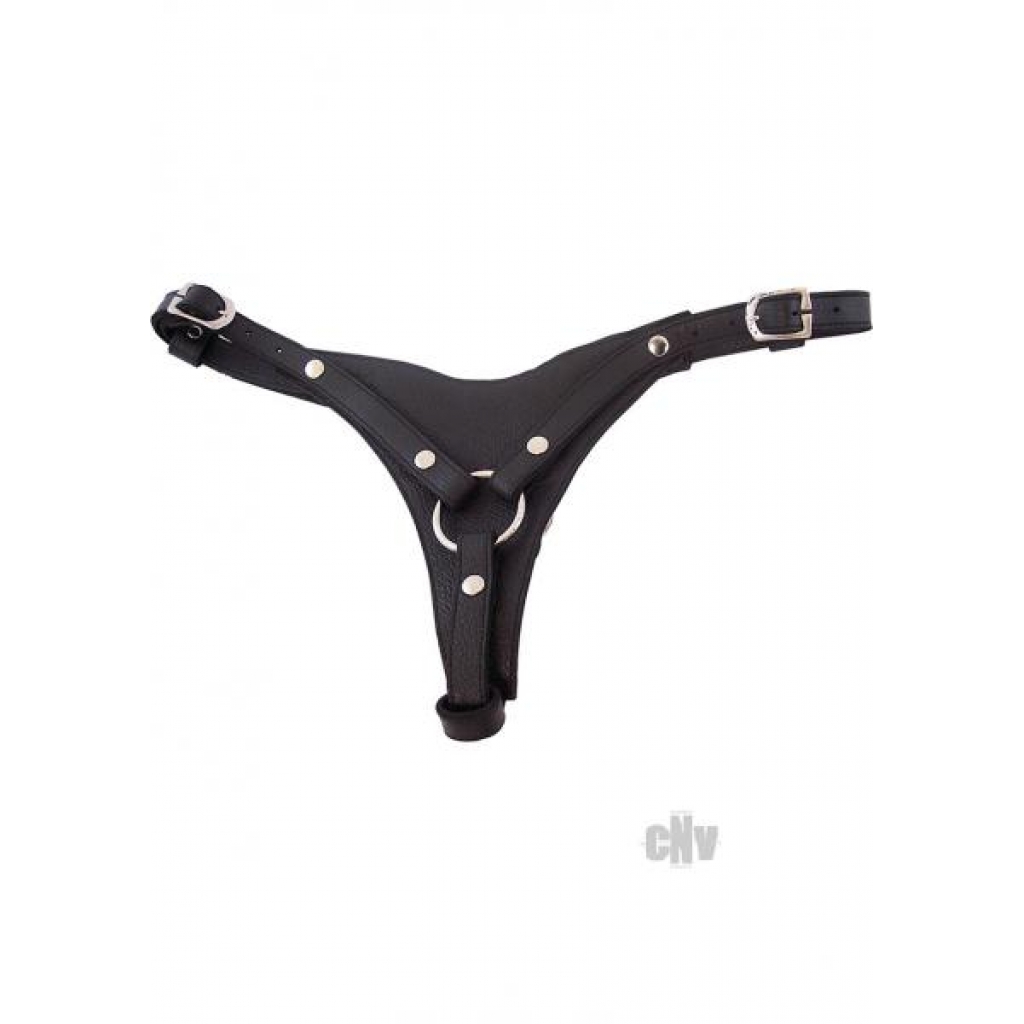 Rouge Female Dildo Harness Black - Harnesses