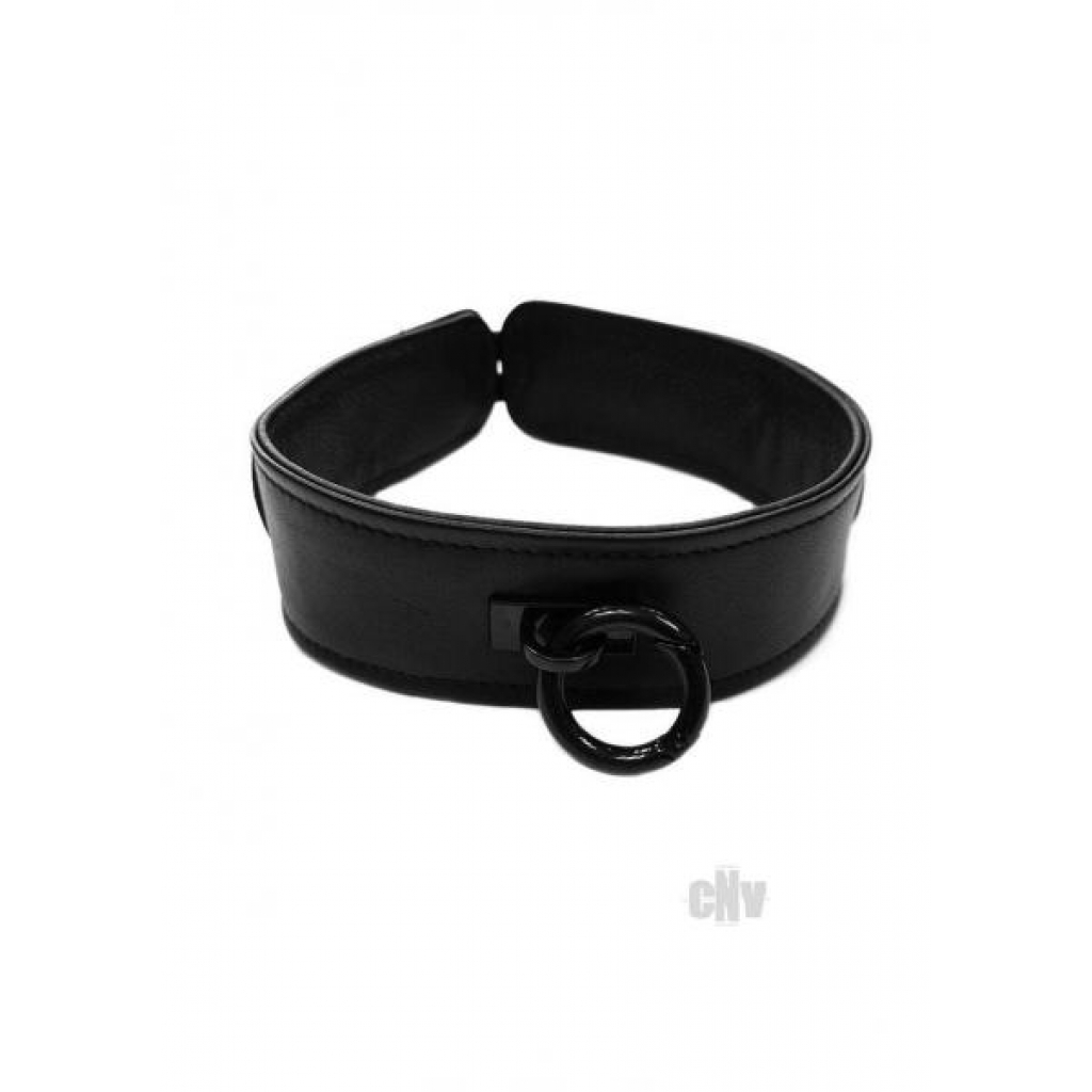 Leather Collar Black - Collars & Leashes