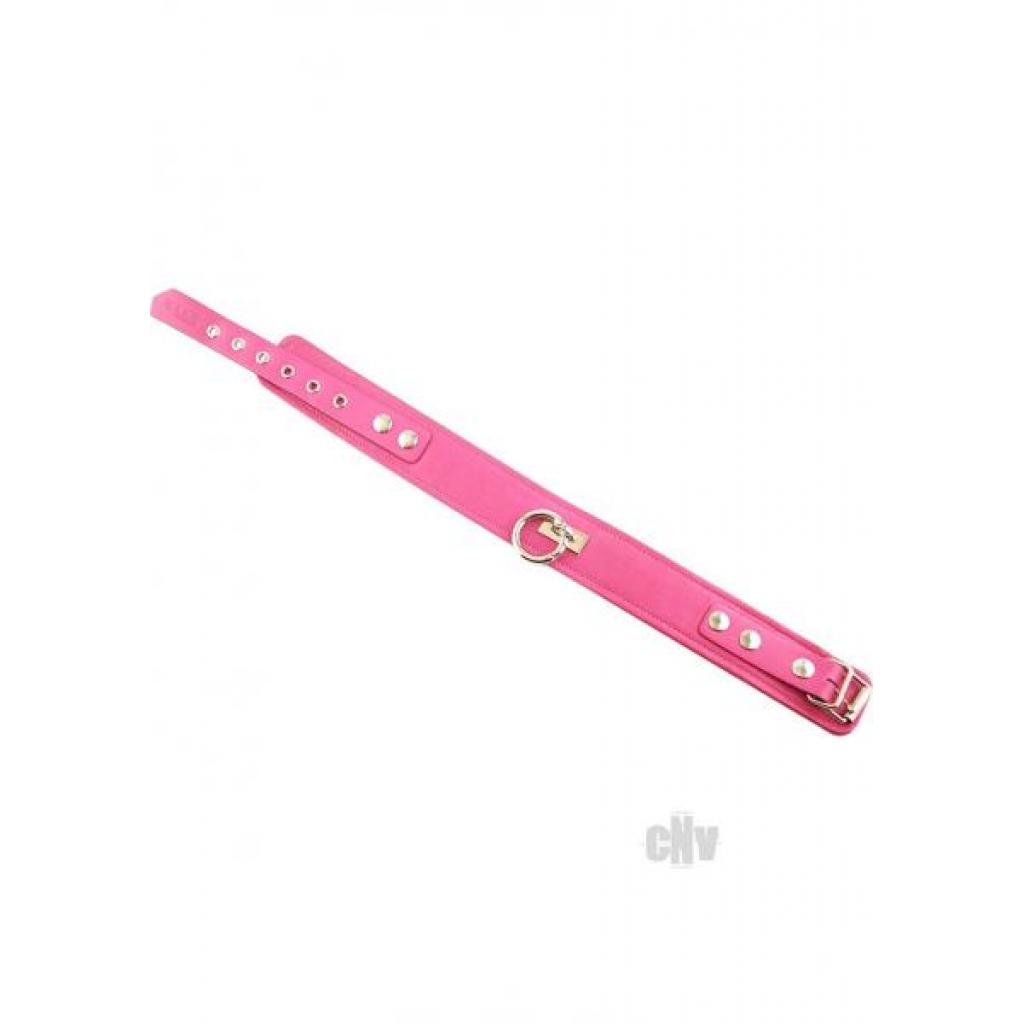 Rouge Plain Collar 1 Ring Pink - Collars & Leashes