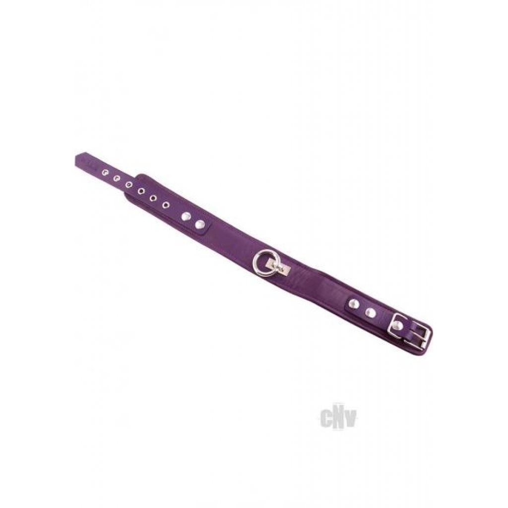 Rouge Plain Collar 1 Ring Purple - Collars & Leashes