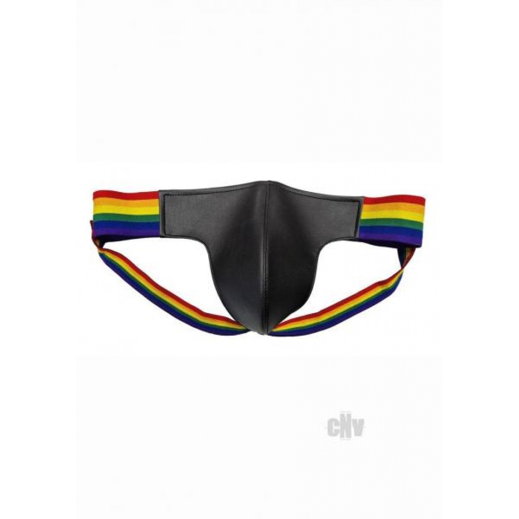 Leather Jock W/ Pride Stripes Lg - Mens Underwear