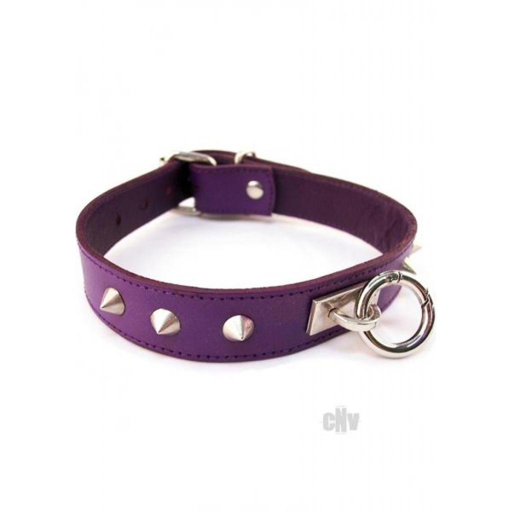 Rouge O Ring Studded Collar Purple - Collars & Leashes