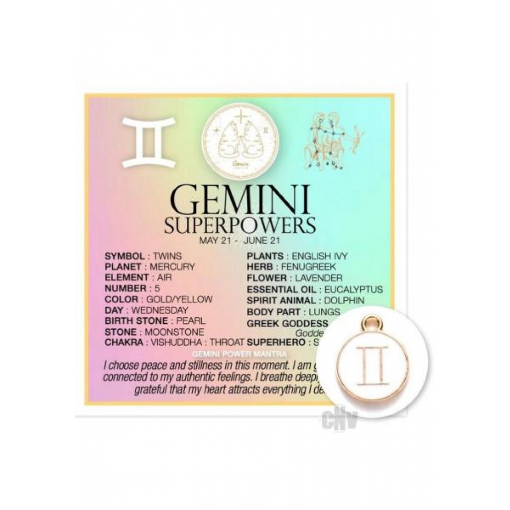 Zodiac Gemini - Gag & Joke Gifts