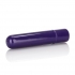 Tiny Teasers Bullet Vibrator Purple - Bullet Vibrators