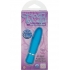 Taking Care Of Business Bullet Waterproof - Blue - Bullet Vibrators