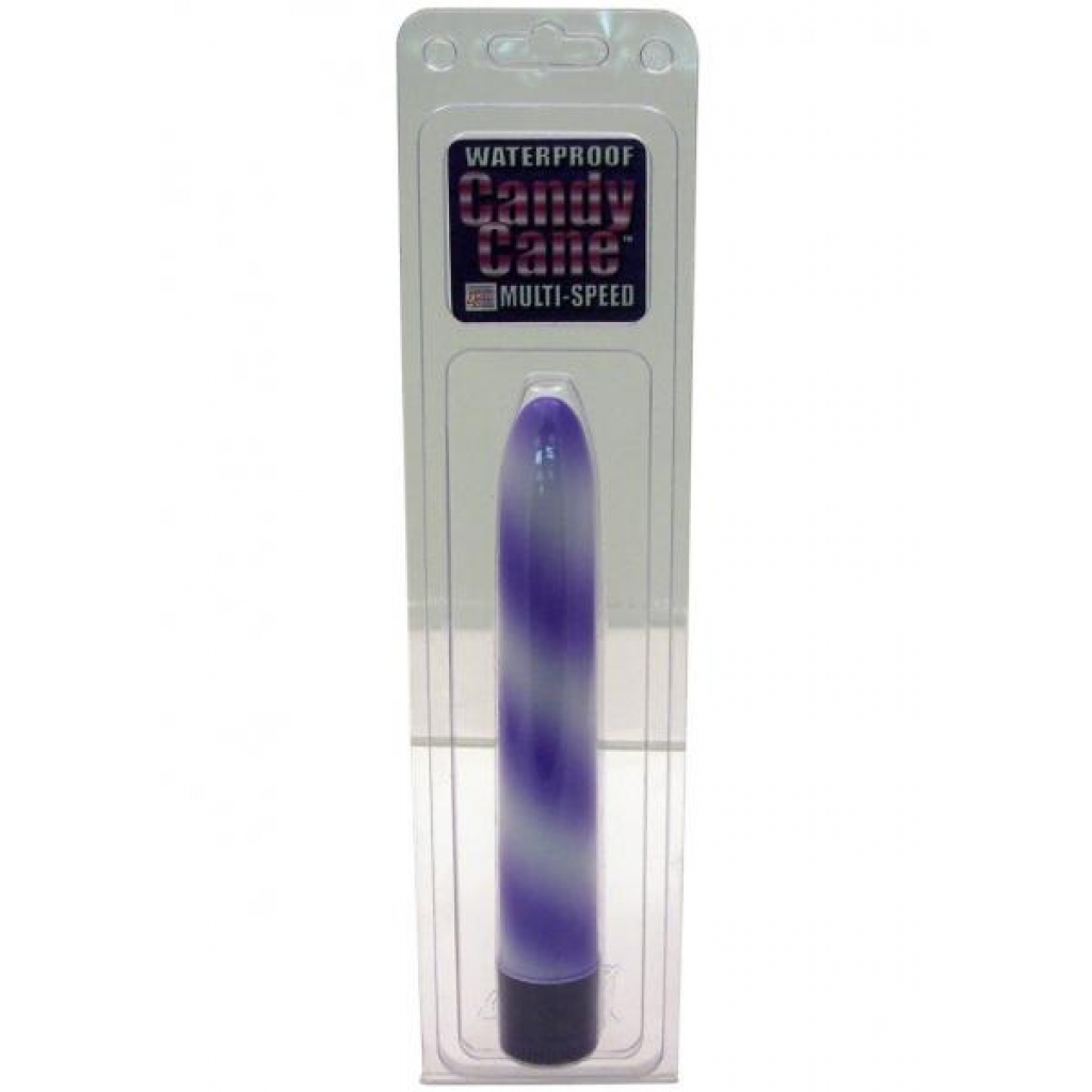 CANDY CANE 6 INCH WATERPROOF PURPLE - Traditional