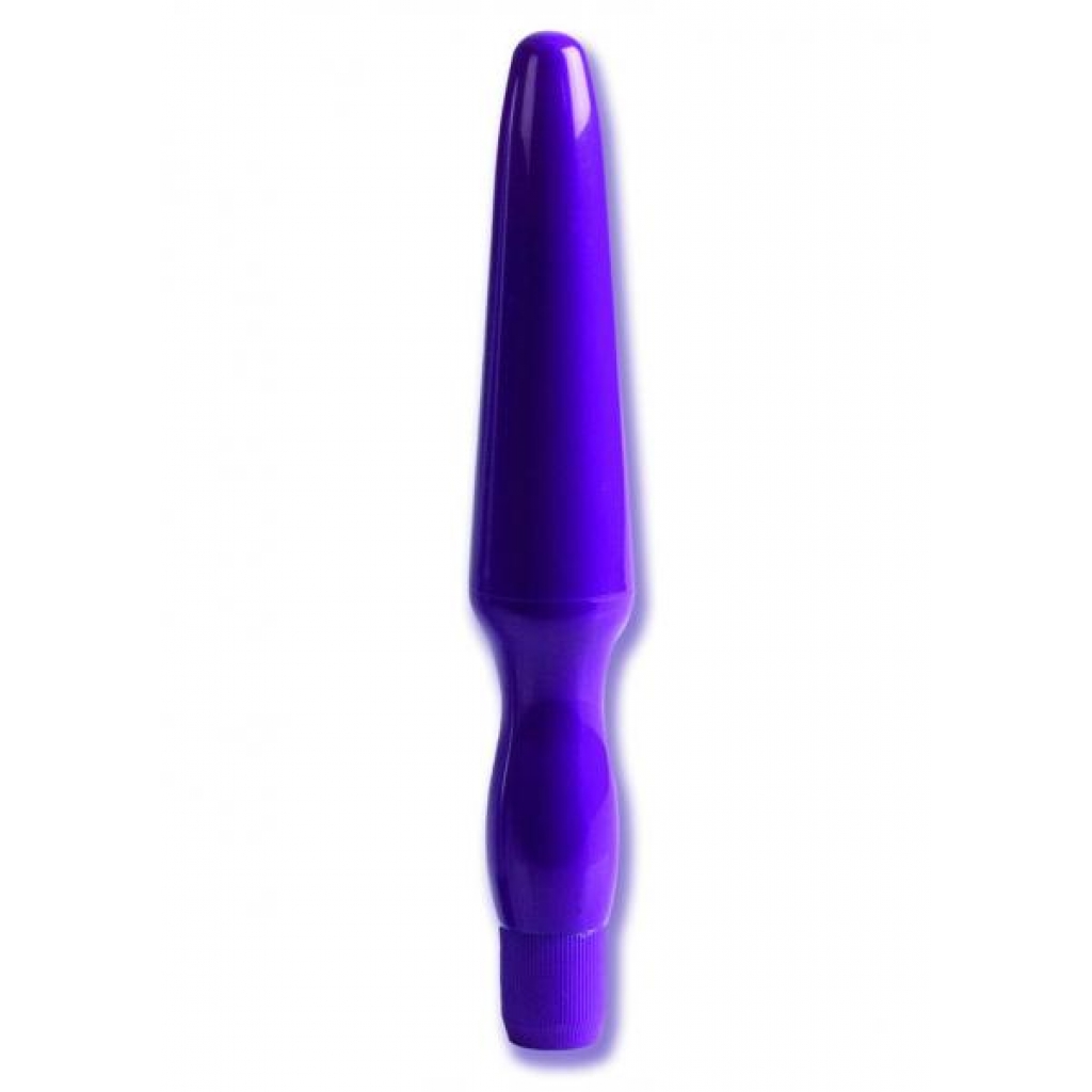 FUJIKOS ANAL PROBE WATERPROOF 6.5 INCH PURPLE - Anal Probes