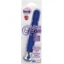 10 Function Risque Slim Vibrator - Blue