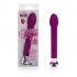 10 Function Risque Tulip Vibrator Purple - Modern Vibrators