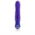 Posh Silicone Double Dancer Purple Vibrator - Rabbit Vibrators