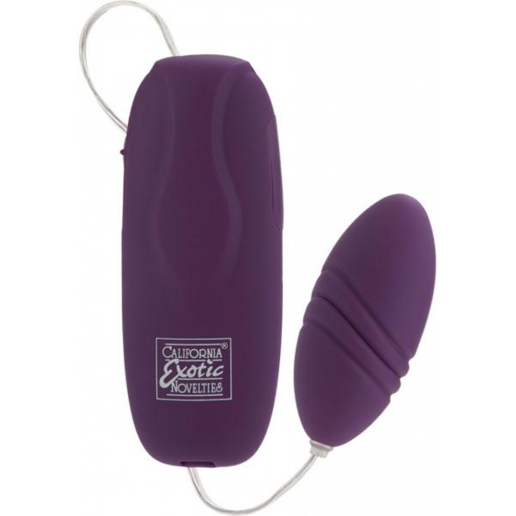 Jumpin Gyrator Rocket Purple Egg Vibrator - Bullet Vibrators