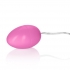 Pocket Exotics Pink Passion Egg Vibrator - Bullet Vibrators