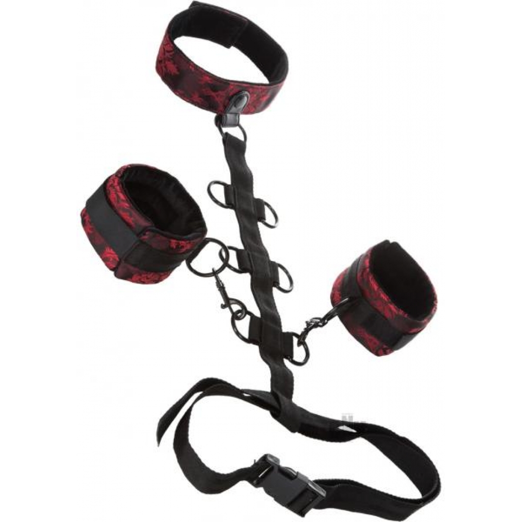 Scandal Collar Body Restraints