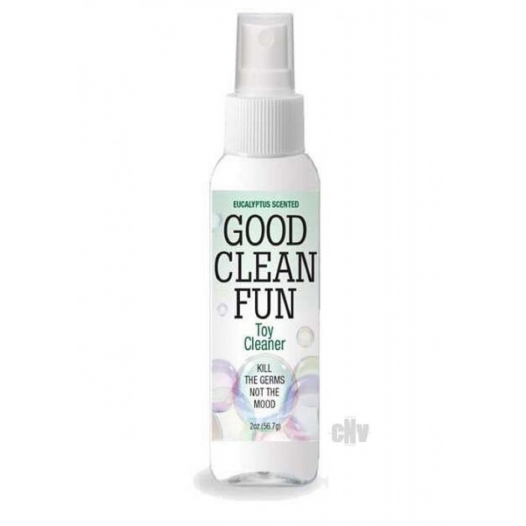 Good Clean Fun Spray Eucalyptus 2oz - Toy Cleaners