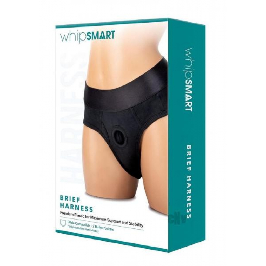 Whipsmart Brief Harness Lg - Mens Underwear