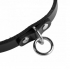 Leather Choker Collar With O Ring M/L - Collars & Leashes