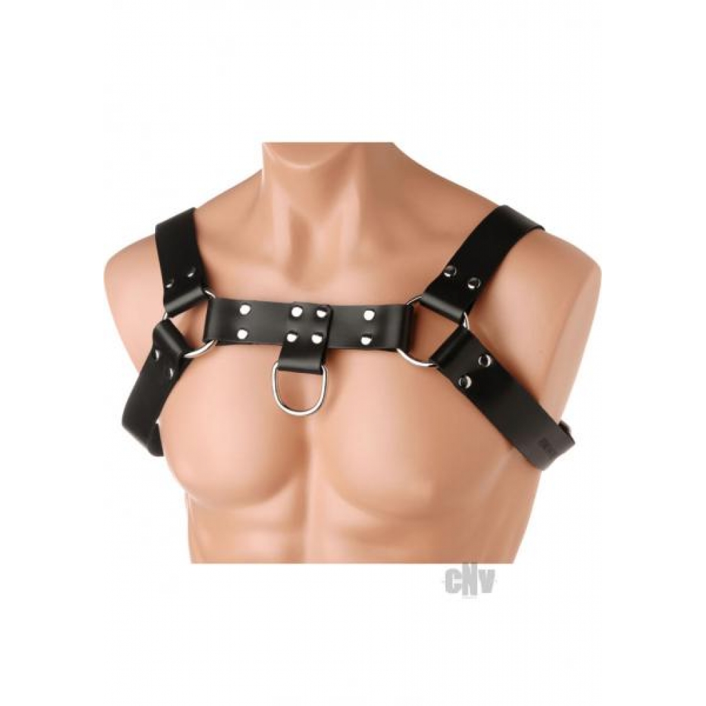 English Bull Dog Harness Black Leather - Fetish Clothing