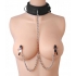 Submission Collar And Nipple Clamps - Collars & Leashes