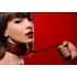 Crimson Tied Leash and Collar Set - Red and Black