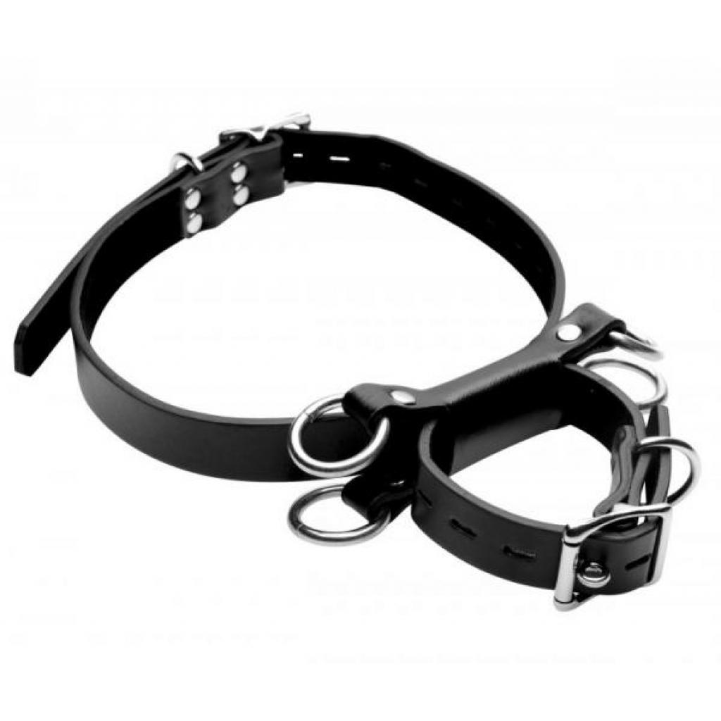 Frog Tie Kneeling Bondage Restraint System Black - Babydolls & Slips