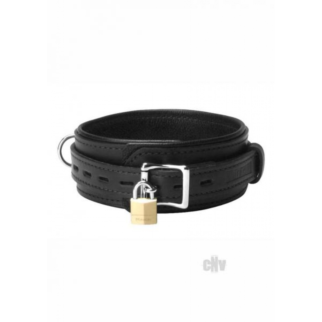 Premium Leather Locking Collar