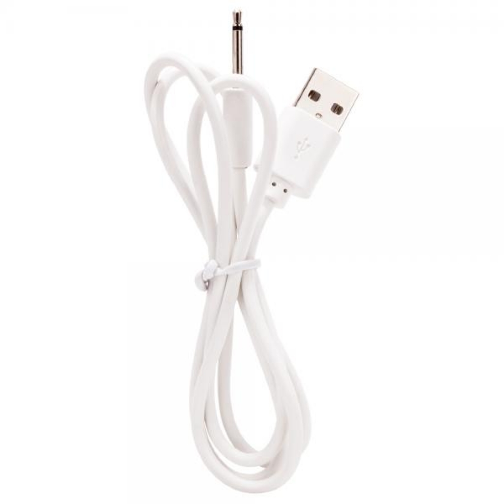 Screaming O Recharge Charging Cable - Batteries & Chargers