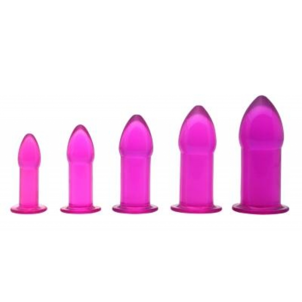 5 Piece Anal Trainer Set - Purple