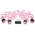 Frisky Pink Bedroom Restraint Kit