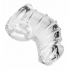 Detained Soft Body Chastity Cage