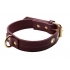 Strict Leather Burgundy Locking Collar