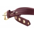 Strict Leather Burgundy Locking Collar