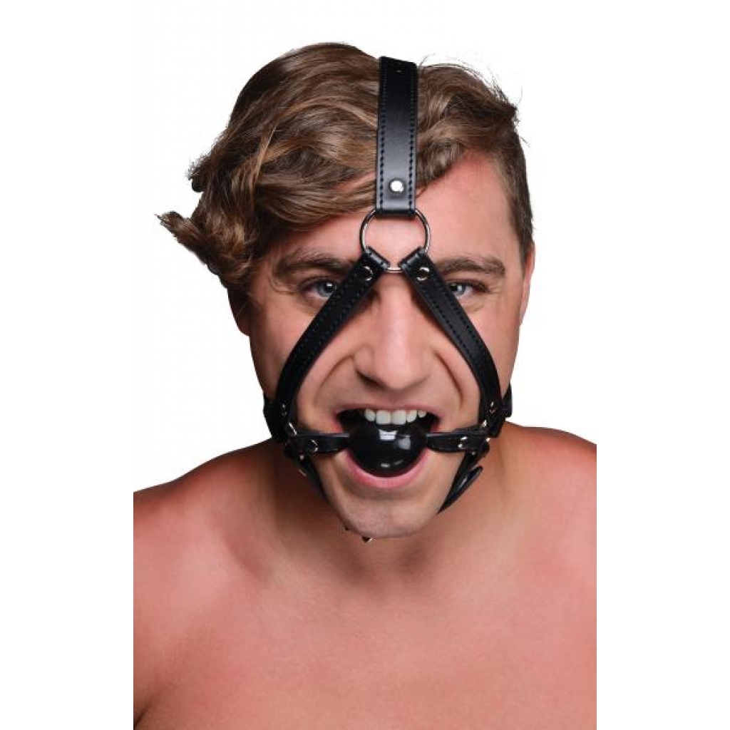 Head Harness with 1.65-Inch Ball Gag