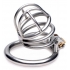 The Pen Deluxe Stainless Steel Locking Chastity Cage