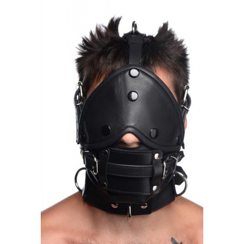 Leather Head Harness With Removable Gag