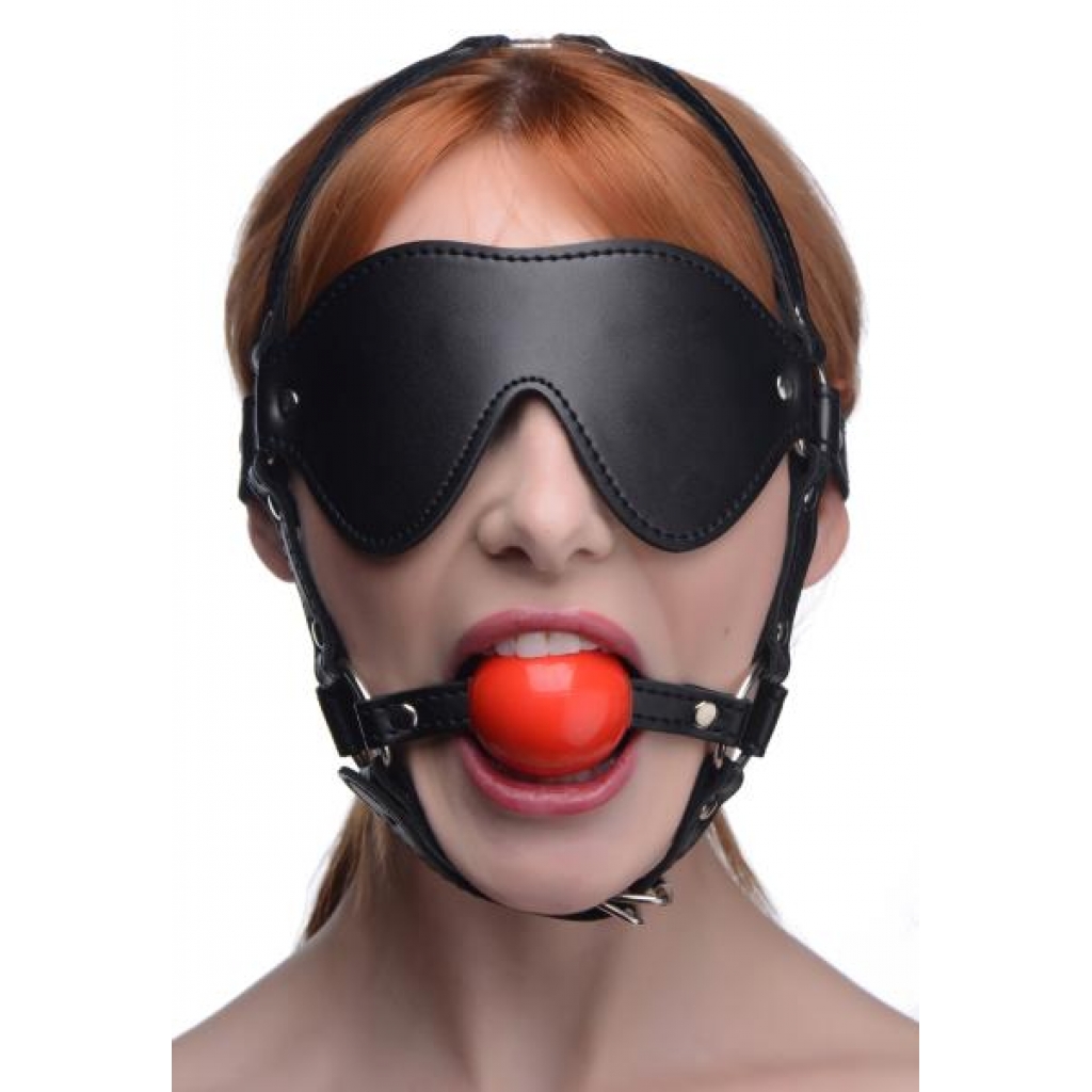 Blindfold Harness and Ball Gag - Ultimate Restraint Set