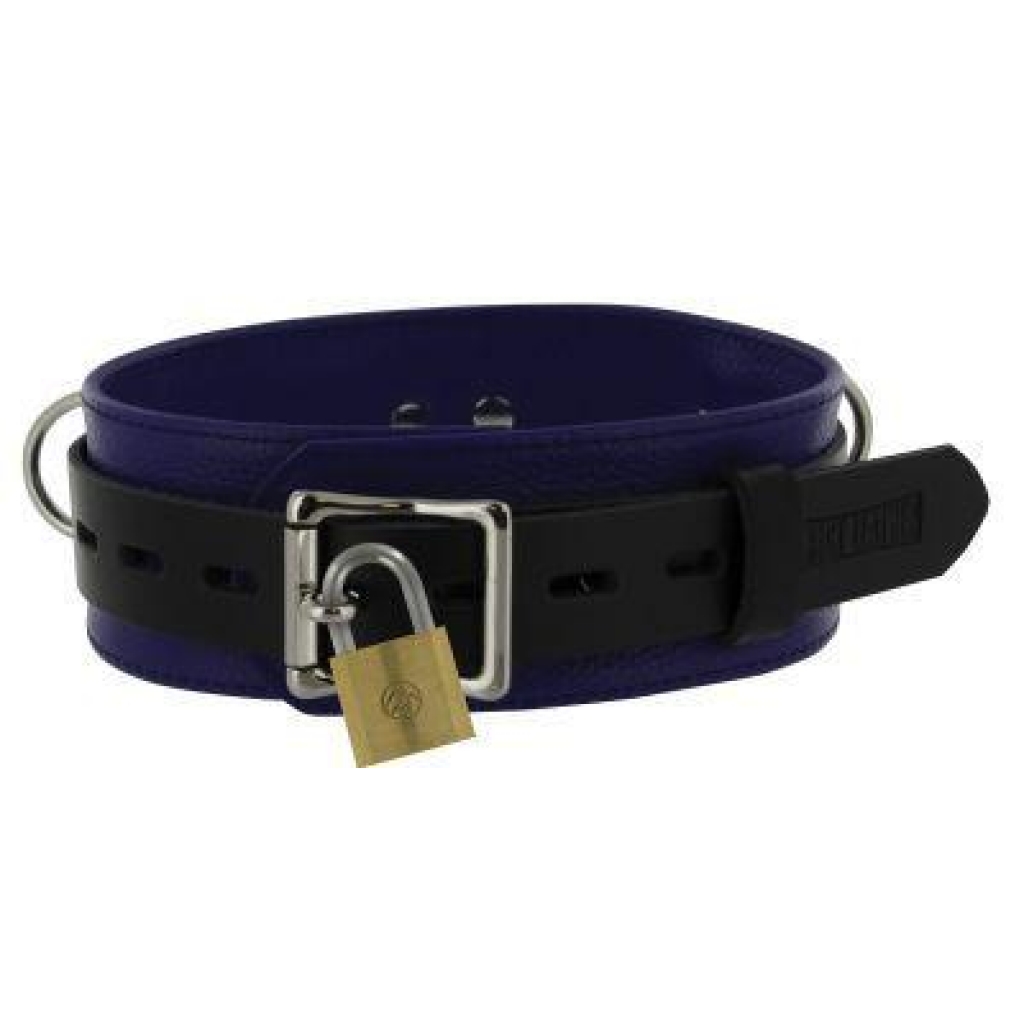 Strict Leather Deluxe Locking Collar - Blue and Black