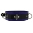 Strict Leather Deluxe Locking Collar - Blue and Black