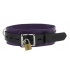 Strict Leather Deluxe Locking Collar - Purple/Black