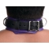 Strict Leather Deluxe Locking Collar - Purple/Black