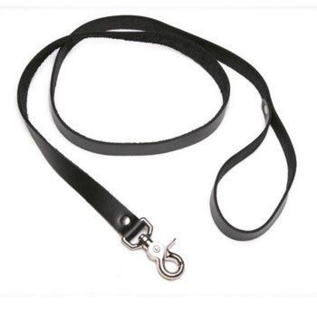 Strict Leather 4 Foot Leash - High-Quality Bondage Gear