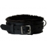 Strict Leather Premium Fur Lined Locking Collar - S/M